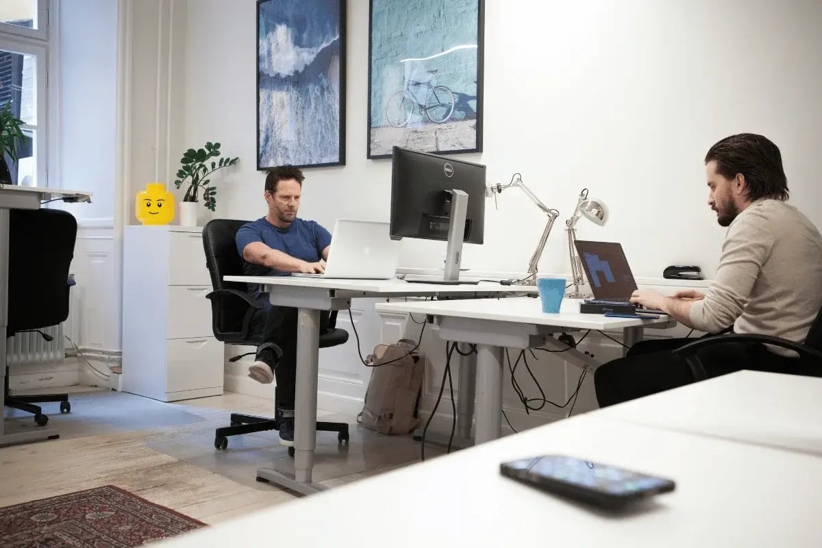 Focused employees using laptops at desks in coworking office.